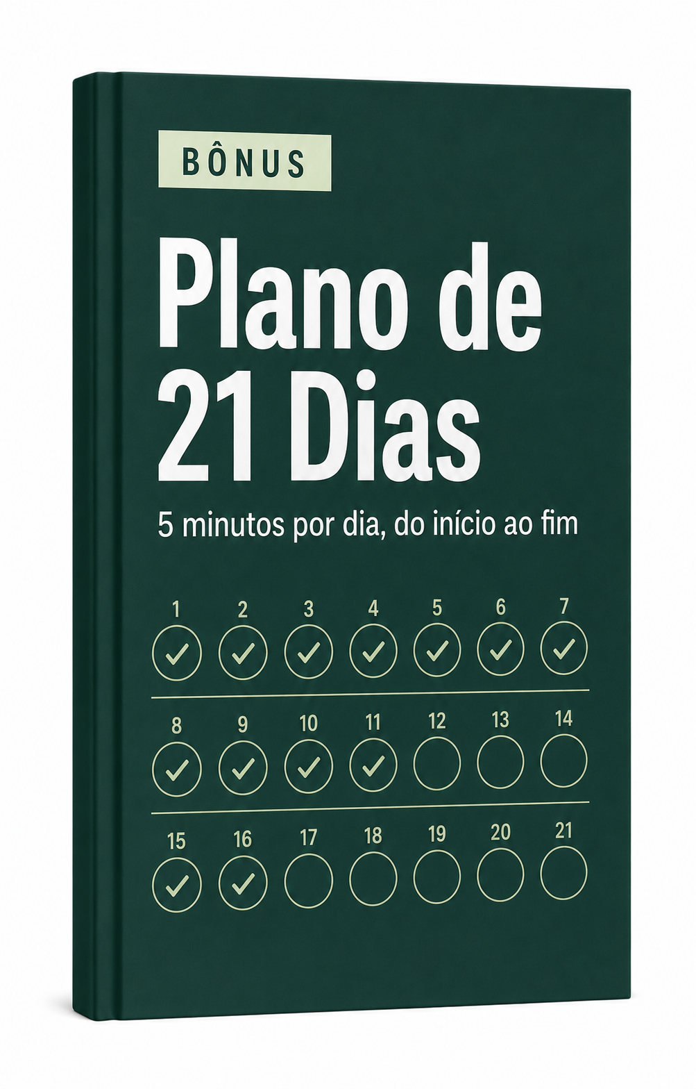 Capa do bônus Plano de 21 Dias